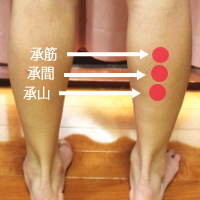 �����ׂ�������@11�I:�c�{����