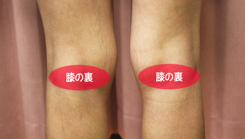 �����p�}�b�T�[�W,�G�|,�ʒu,�ʐ^,�ꏊ,�G�̗�