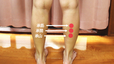 �����ׂ�����c�{,�ӂ���͂�,����,����,���R,�ǂ�,�ʐ^,�ꏊ