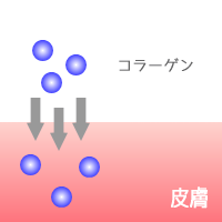 �X���~���O�W�F���̑I�ѕ�:���e�����z���̂��̂�I�ԂƂ����܂ŃL���C�ɂȂ�